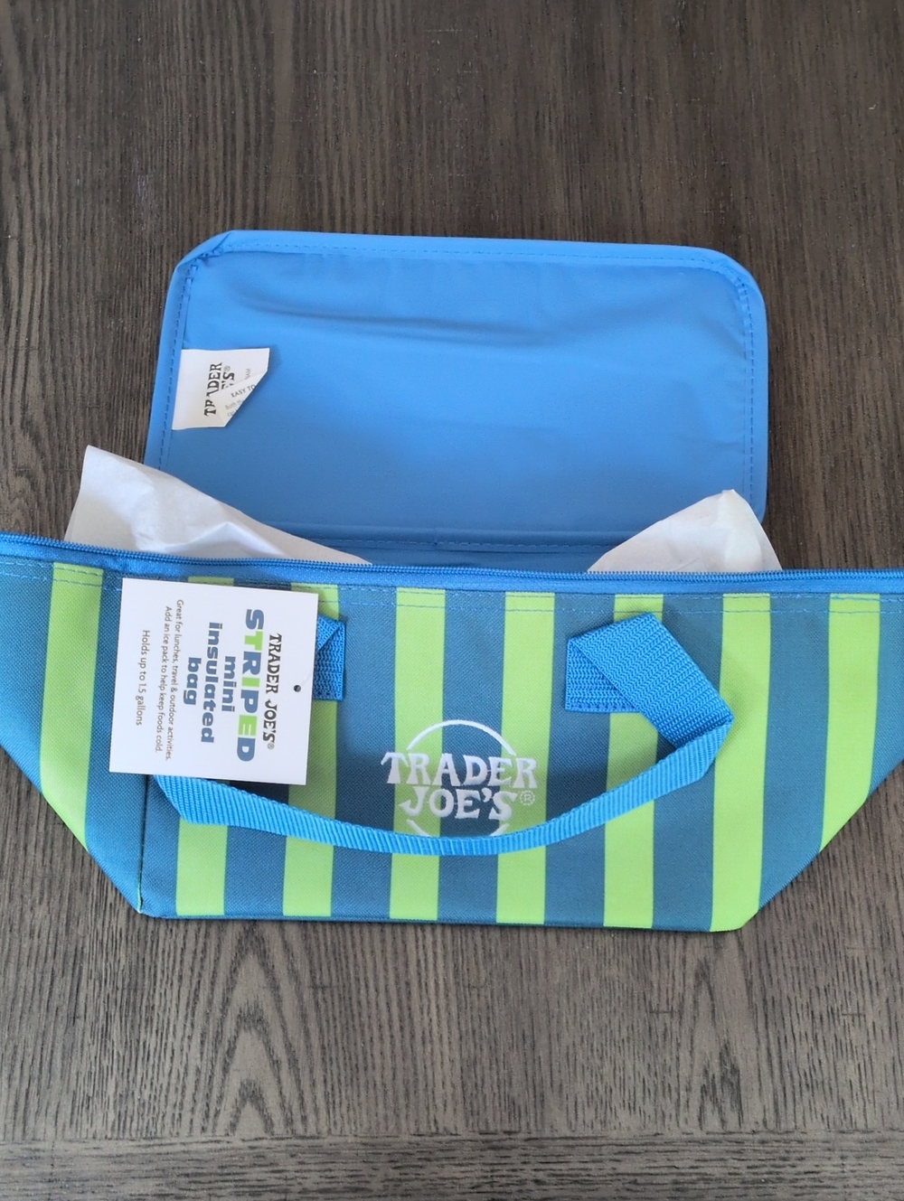 NWT Trader Joe's Striped Mini Insulated Bag - Blue & Green